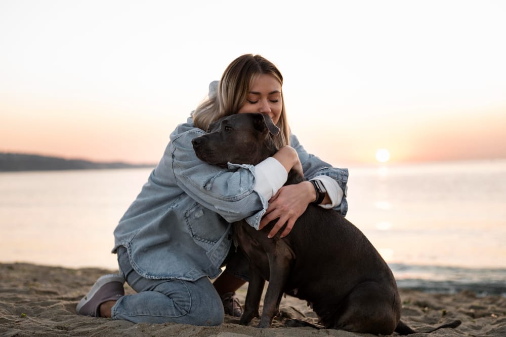 Der Hund ist nicht nur der beste Freund des Menschen, sondern auch ein beliebtes Motiv in der Kunst