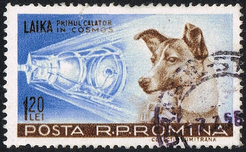 Laika, ins All geschossener Hund auf Briefmarke aus Rumänien Posta Rumänien, 1957, 1,20 Lei Michel-Briefmarkenkatalog (Osteuropa Teil 4) Nummer: 1685