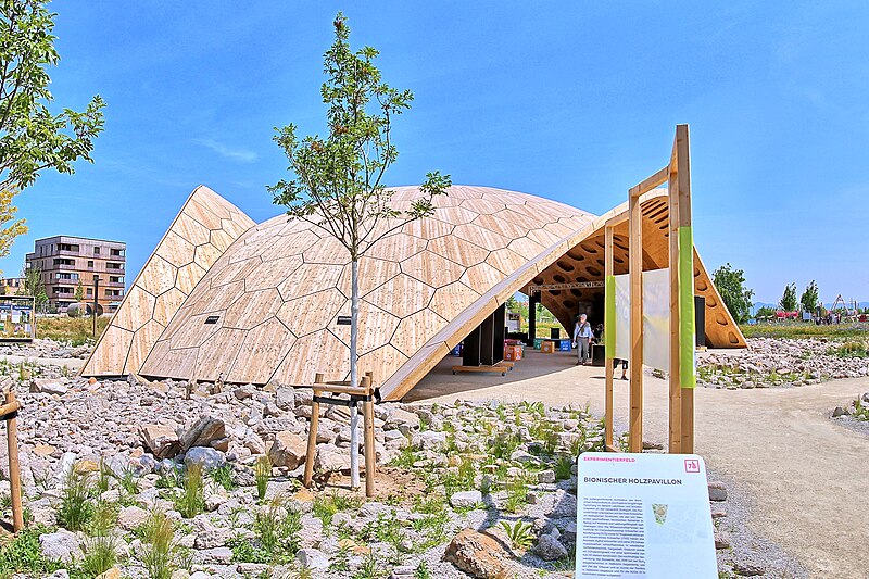Mannheim BUGA 2023 Spinelli-Park - Der Bionische Holzpavillon besteht aus Lärchenholzplatten und insgesamt 411 Einzelteilen. Der Pavillon wurde nach dem Vorbild eines Seeigels entworfen.
