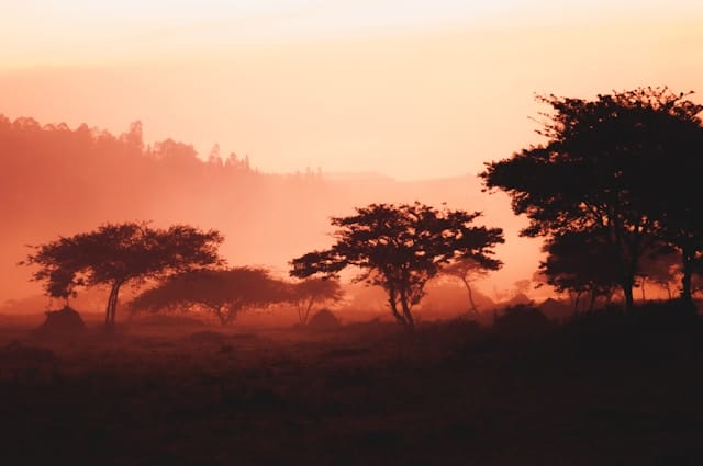 Die Naturkulissen Afrikas bieten jede Menge Inspiration und spannende Perspektiven