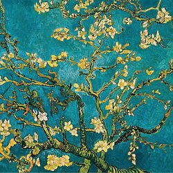 Ölgemälde "Blühende Mandelbaumzweige" (1890) von Vincent van Gogh, limitierte Reproduktion auf Leinwand