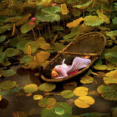 Kunstfotografie "The Golden Lotus Lake" (2019) von Viet Ha Tran